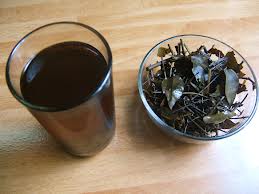 Chè vằng- Bí quyết giúp sữa mẹ dồi dào sau sinh